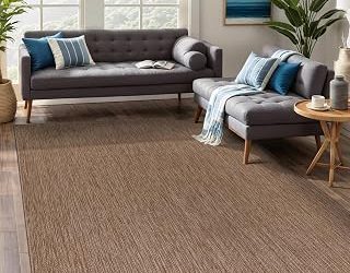Best Indoor/Outdoor Rug (2026)