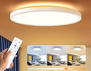 Best Light For Ceiling (2026)