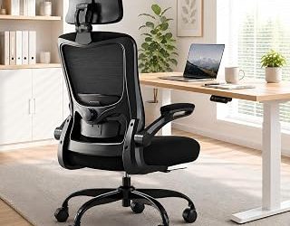 Best Office Chair For Back Problems (2026)