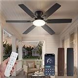 8 Best Outdoor Damp Rated Ceiling Fans with Lights for Covered Patios