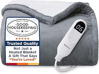Best Price Heated Blanket (2026)