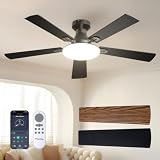 8 Best Quiet DC Motor Ceiling Fans with Lights for Master Bedrooms