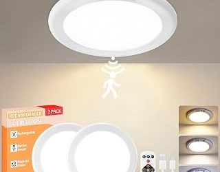 Best Rechargeable Ceiling Light (2026)