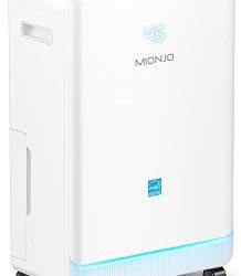Best Setting For Basement Dehumidifier (2026)