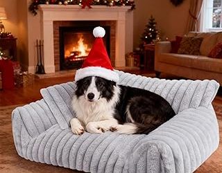 Best Sofa For Dog Owner (2026)