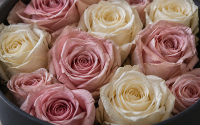 GLAMOUR BOUTIQUE Preserved Flowers vs Prifroti 75 Preserved Roses in Suede: Which Should You Buy?