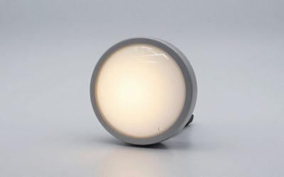 Best Color-Changing Outdoor Lights for Patios and Gardens