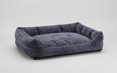 Best Elevated Dog Beds for Comfort and Support