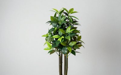 Best Faux Plants That Look Convincing in Any Room