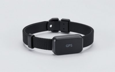 Best GPS Smart Collars With Cellular Tracking