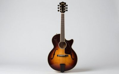 Best Octave Mandolins for Every Playing Style