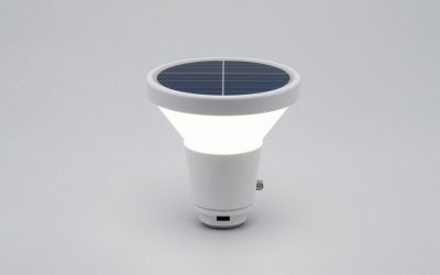 Best Solar Path Lights for Walkways and Gardens
