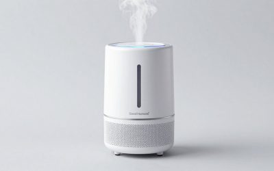 Good Humidifier for Large Room: 6 Quiet Picks for Living Areas
