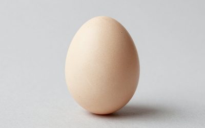 Grow a Garden Carnival Egg Hatch Guide