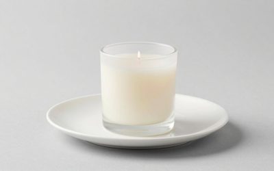 HouseGem Large Candle Warmer Plate vs ASAWASA Candle Warmer: Which Should You Buy?