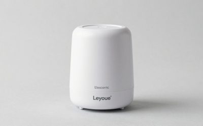 Leyoue Electric Wax Melt Warmer PTC vs NAUQUOHZ 61 Oz Wax Melter Pot: Which Should You Buy?
