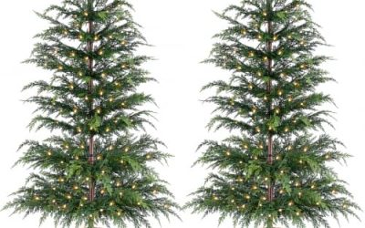 6 Pre Lit Porch Trees Set of 2 (October 2026)