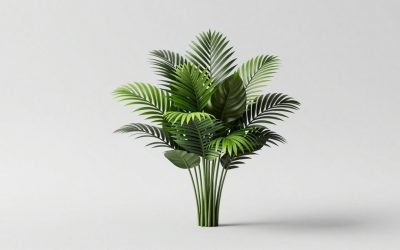 Tralalero Tralala Plants vs Brainrot Explained